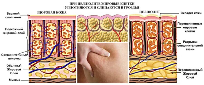 Источник изображения: Яндекс.Картинки