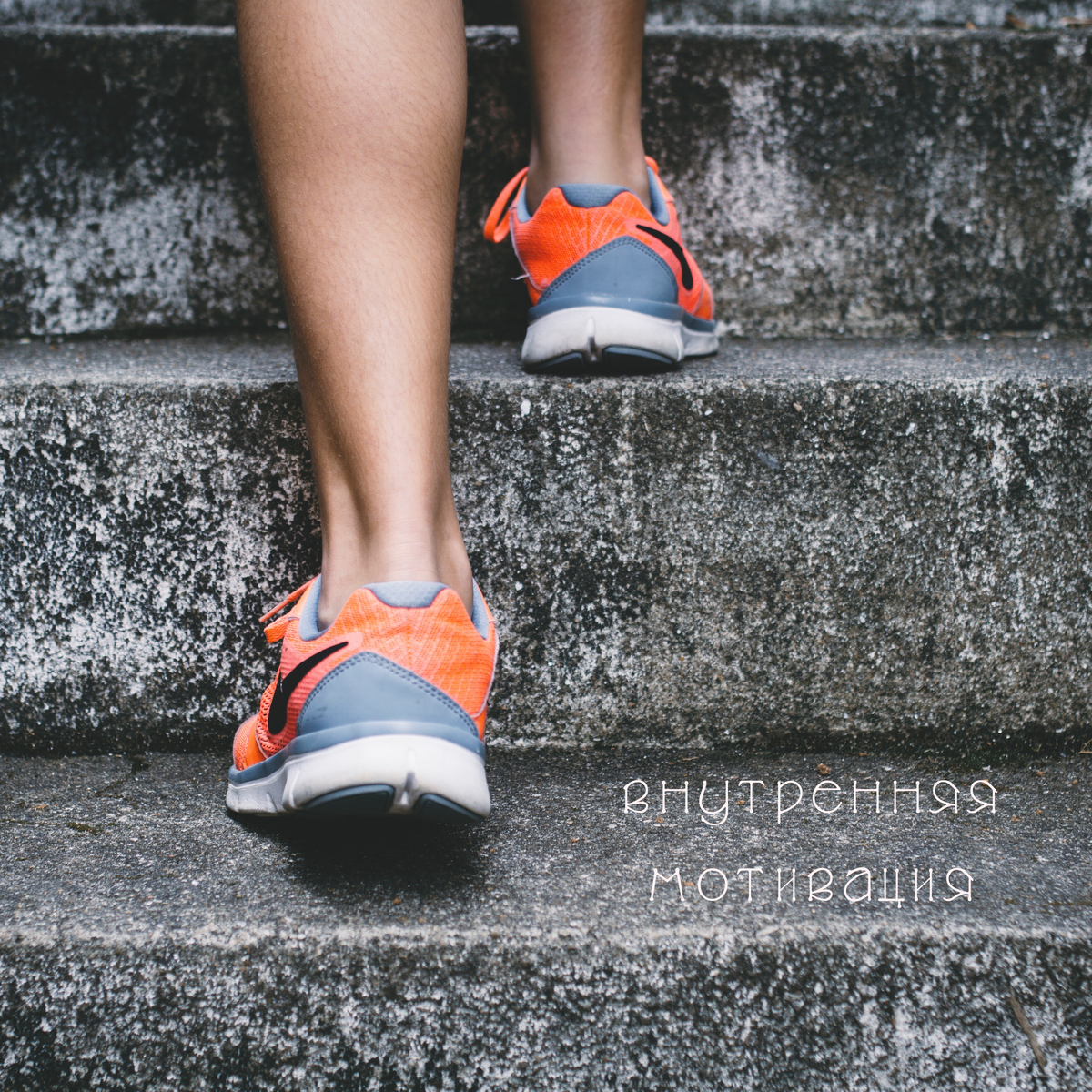 Картинка из фотостока