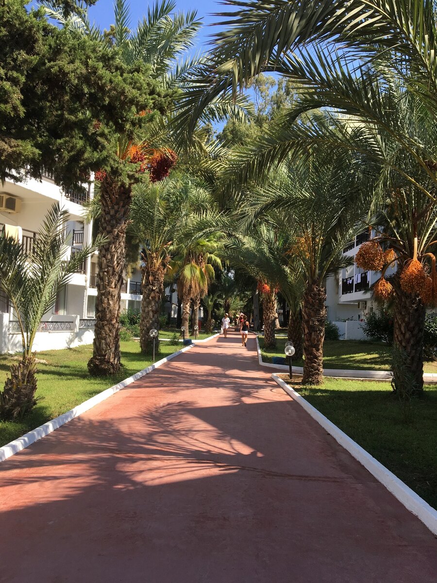 Территория отеля