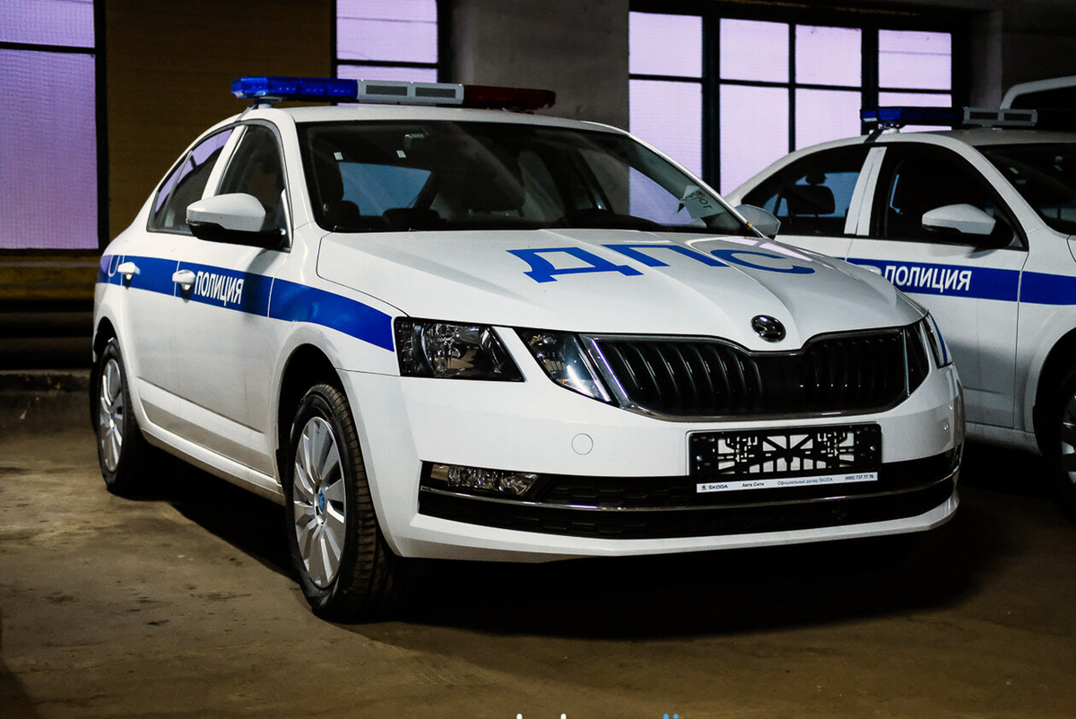 ГИБДД России купила почти 4 тысячи новых быстрых Skoda Octavia | Авто  репортер | Дзен