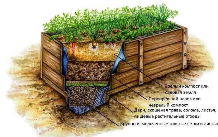 Как сделать умные грядки на участке