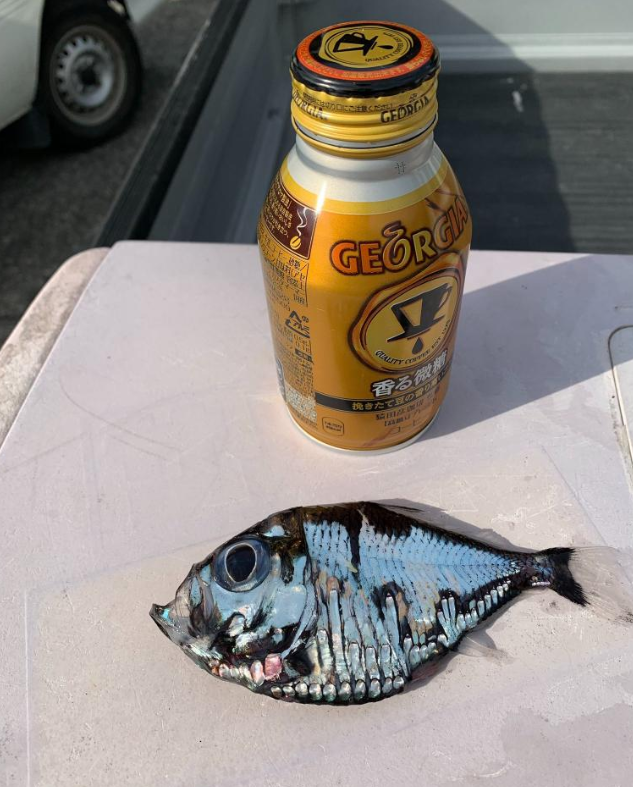 фото из сети Интернет