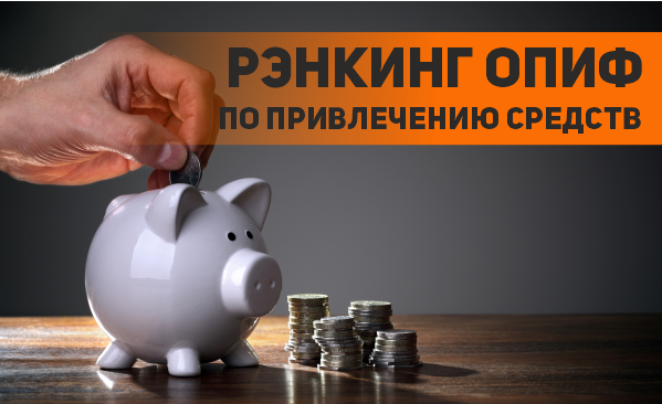 Depositphots, портал "Чеснок"