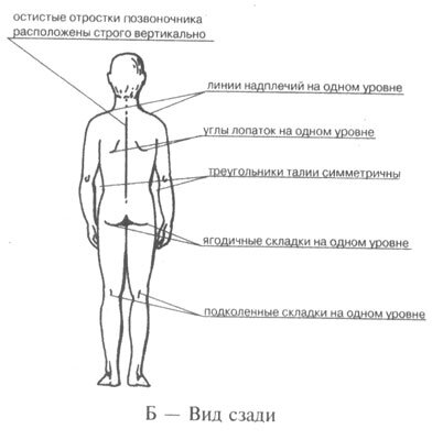 Рациональная осанка во фронтальной плоскости