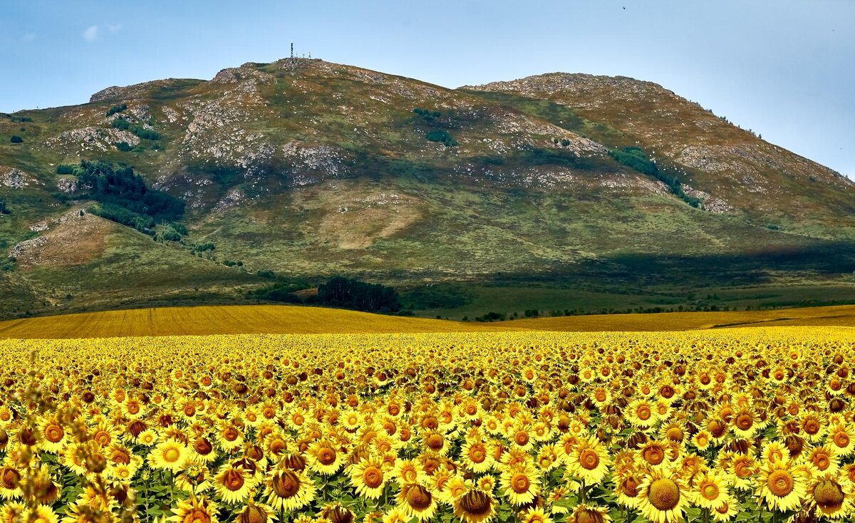 Фото Виктора Паушкина