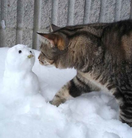 фото использовано в качестве иллюстрации. Источник "Яндекс.Картинки"