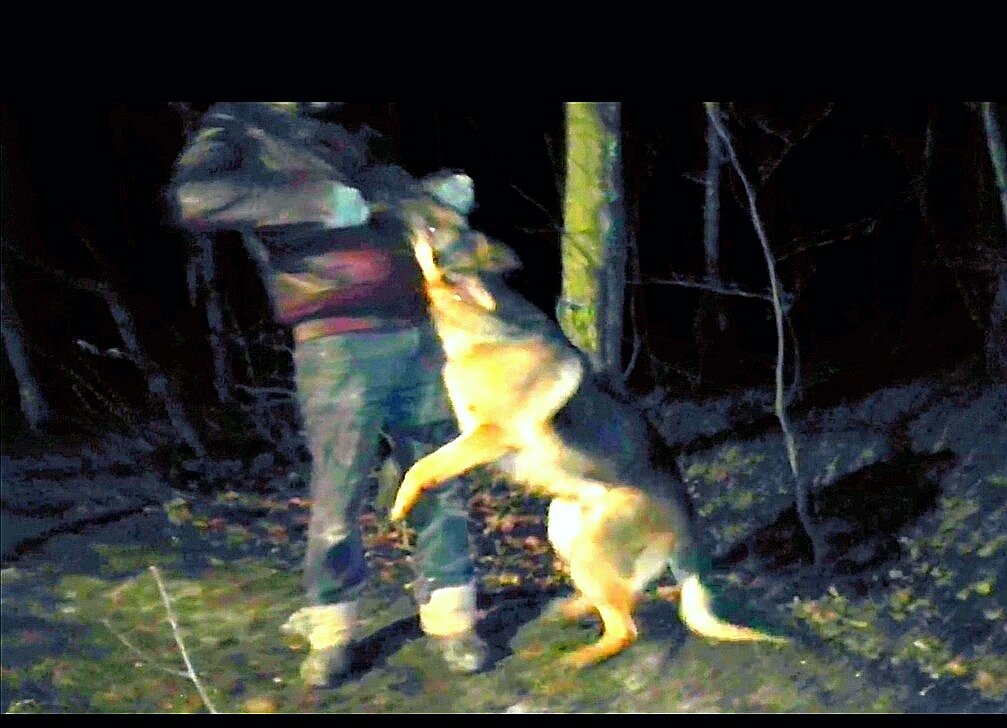 Фото с вечерней прогулки. Но, думаю, все понятно). 