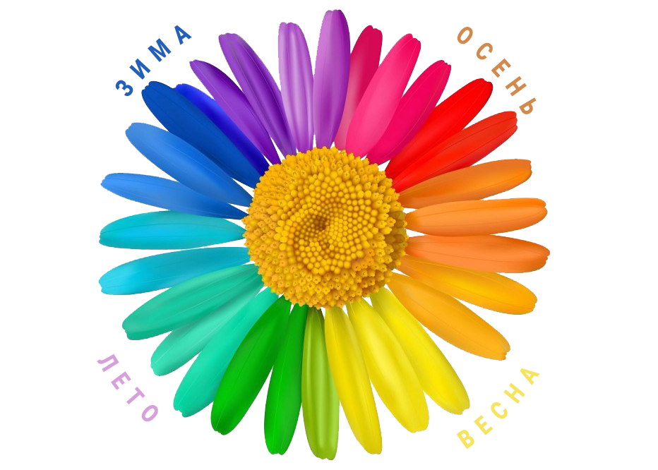 Ромашка-радуга, но мы не будем гадать а найдем свой цвет по науке