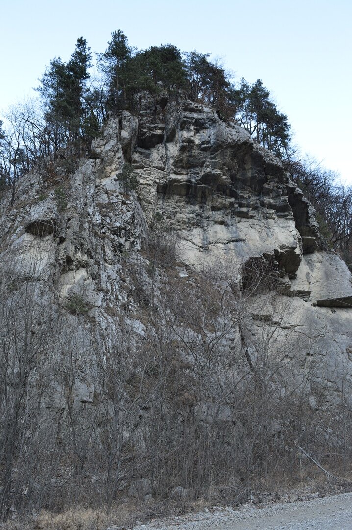 © МИР В ОБЪЕКТИВЕ/ СЕ ЧЕЛОВЕК