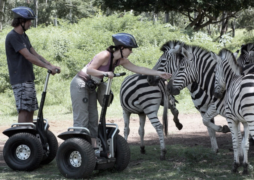 Парк «Касела» 