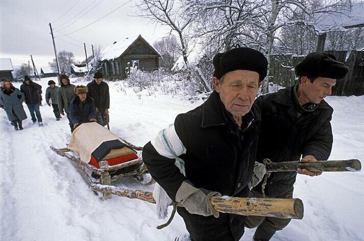 Ещё бывает и так, когда кобылки нет. Фото из свободного доступа в интернет.
