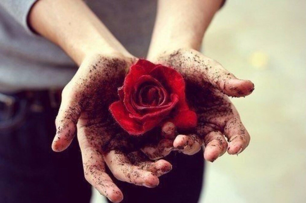 фото из интернета