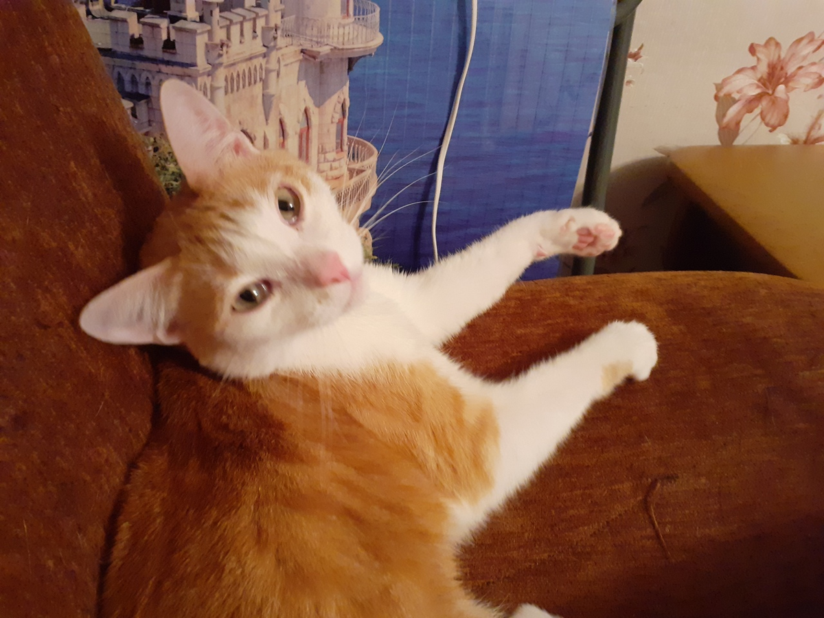 Фото из личного архива автора.