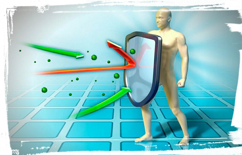 Фото взято с сайта https://narodmedikal.ru