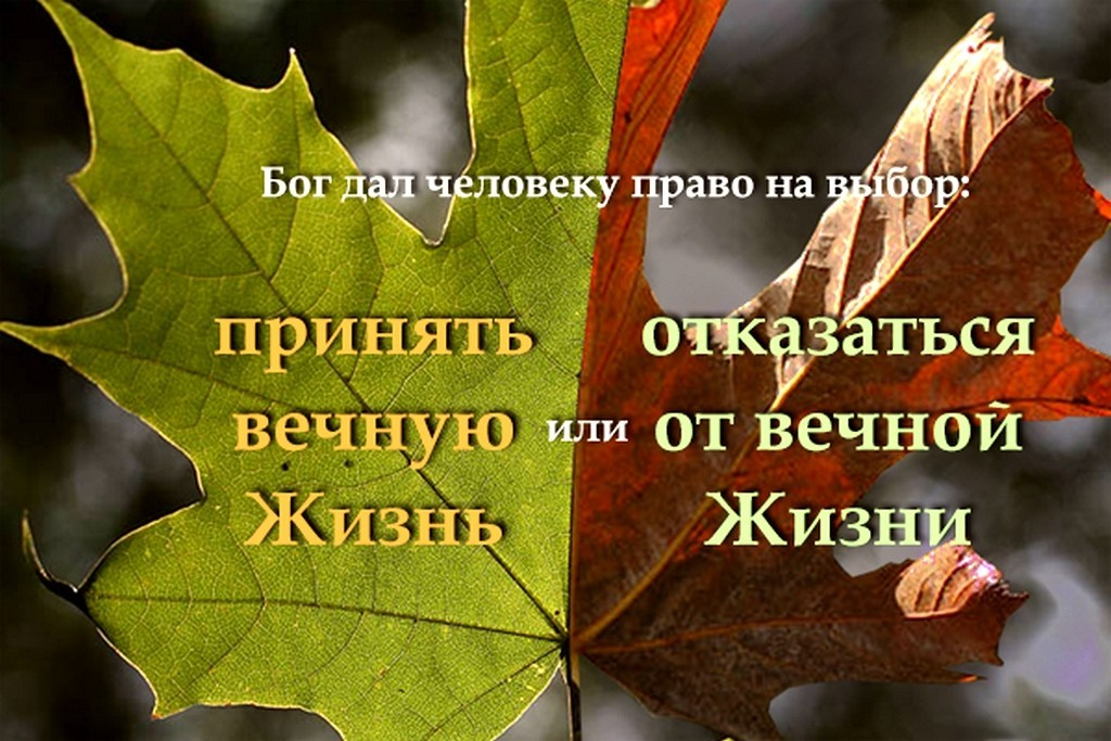 Выбери жизнь Библия. Стихи из Библии. Жизнь Вечная Библия. Благословение от Иеговы. Жизнь вечная счастье или проклятие