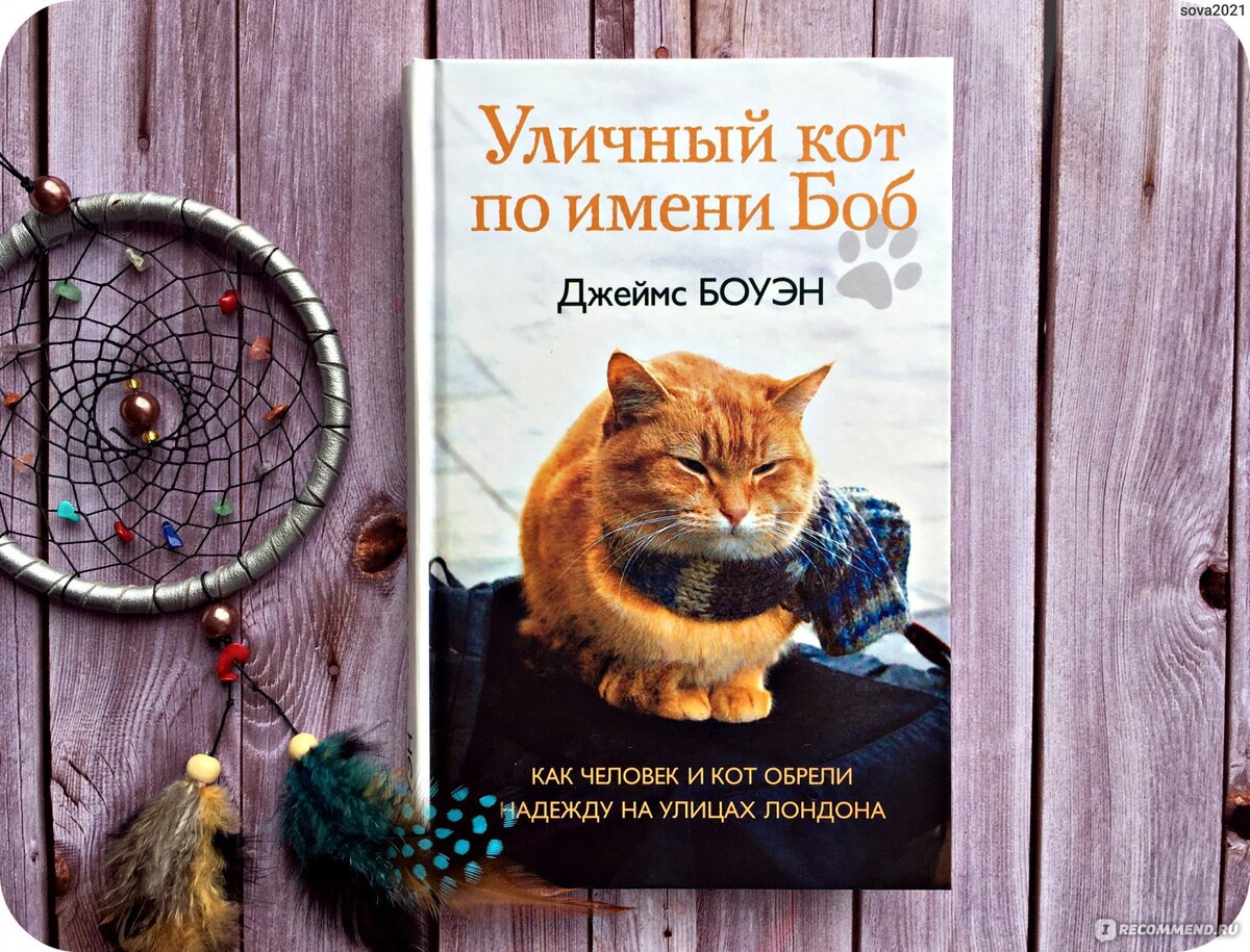 Книга "Уличный кот по имени Боб"