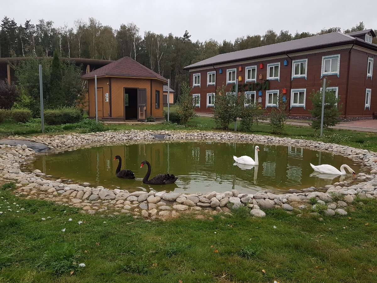 зоопарк
