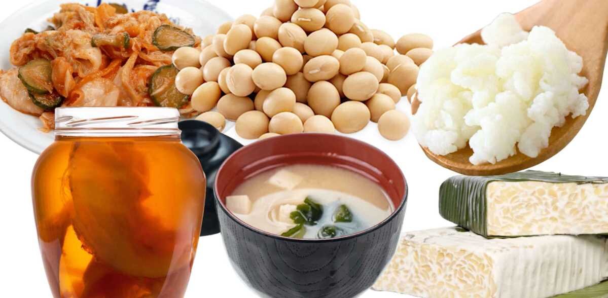 Что такое ферментированные продукты и почему они нам всем нужны