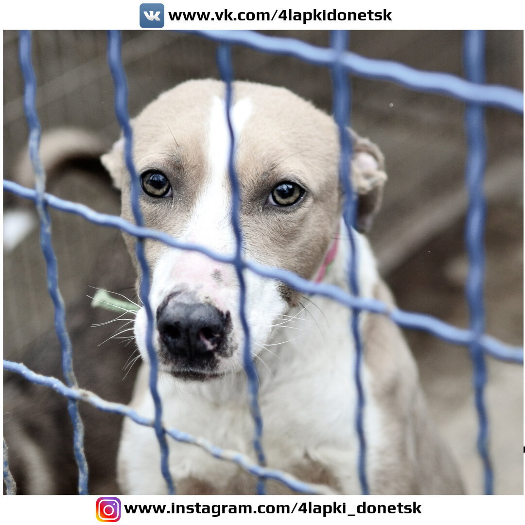 Фото: Шаталов Андрей