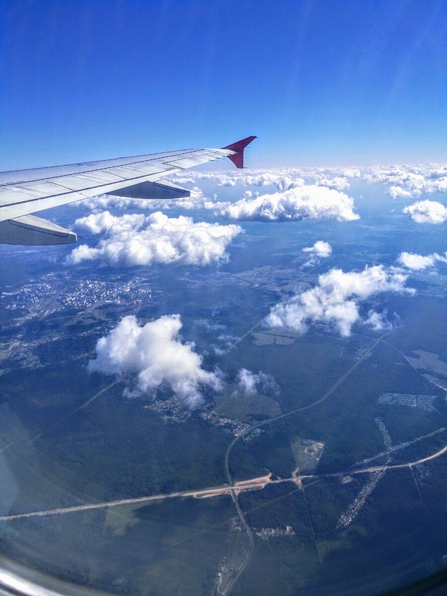 Полет фантазии