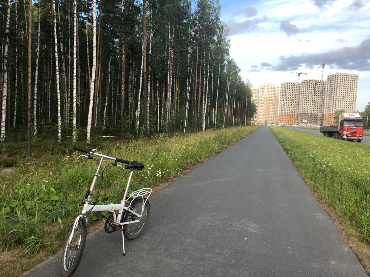 Дорожка, разграничивающая лес и дома. Фото моё