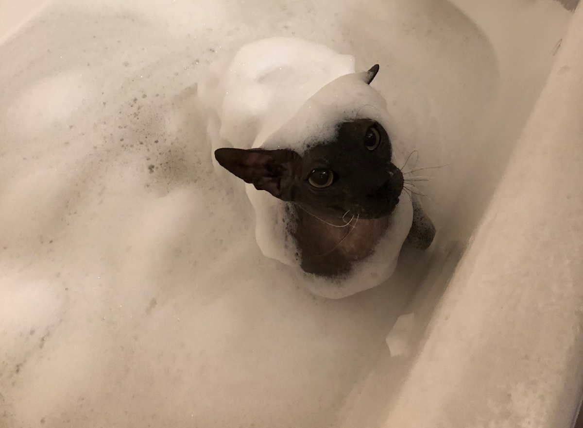 Водные процедуры 