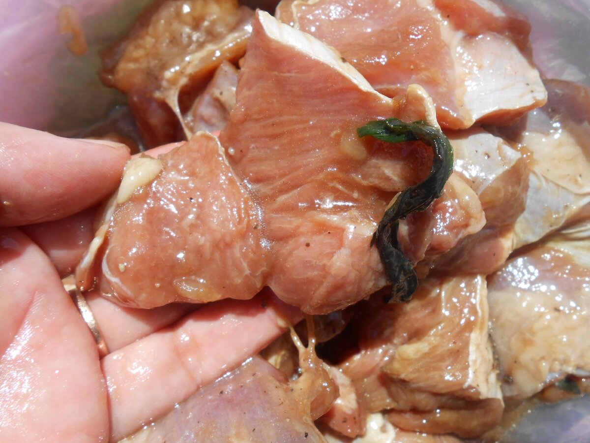 Готовим На Пикнике(Бережливая мамочка)