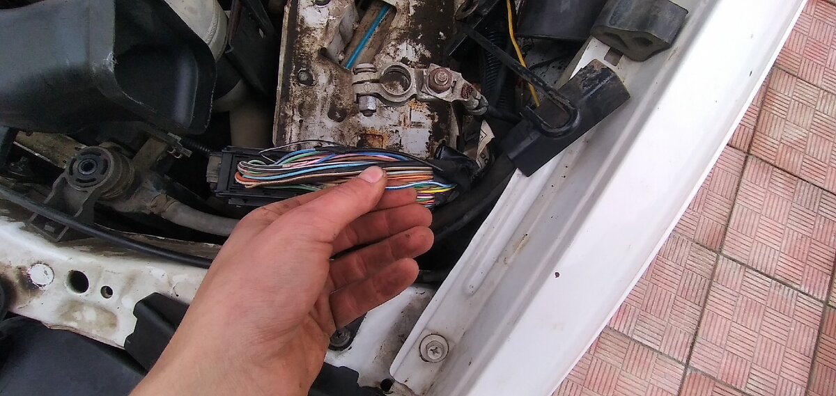 Бело-синий провод который идёт в верхнем ряду, 4м по счёту