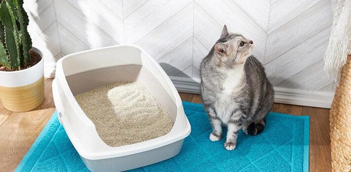 Фото с сайта pinterest.ru