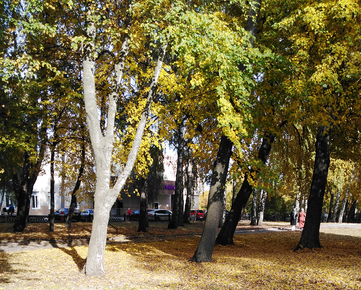 Осень в городе