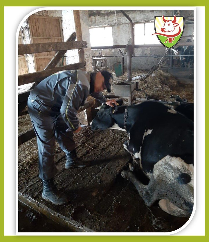 Фото с сайта компании "АгроПрофи" https://agroprofi.pro