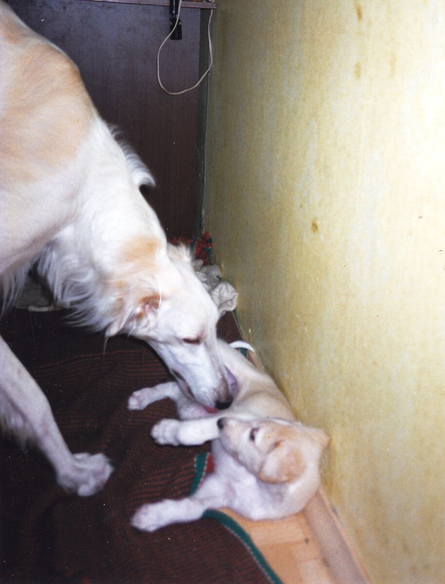 Фото из личного архива