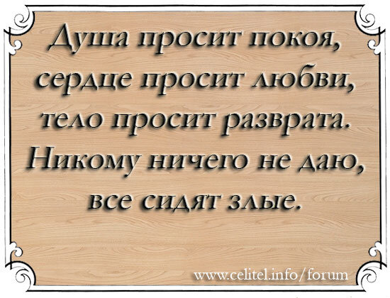 Душа просит покоя, сердце просит любви, тело просит разврата. Никому ничего не даю. Все сидят злые.