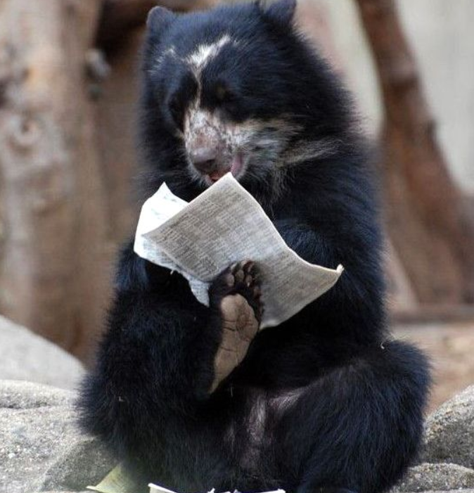 https://omoro.ru/wp-content/uploads/2017/10/pro_animals-91.jpg