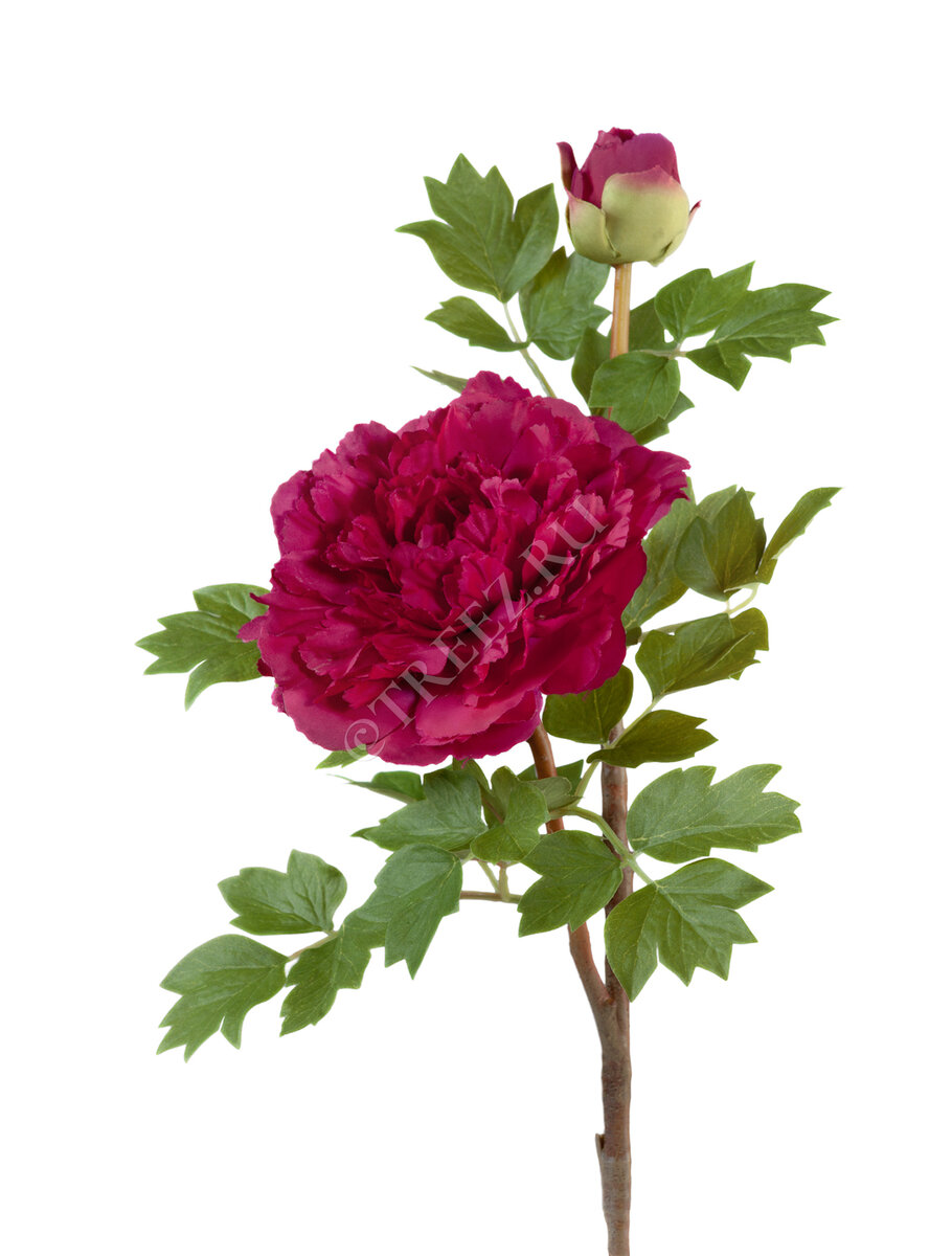 Искусственные пионы Treez Collection