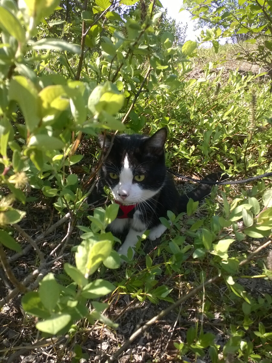 Жорик в Магадане, 2016 год