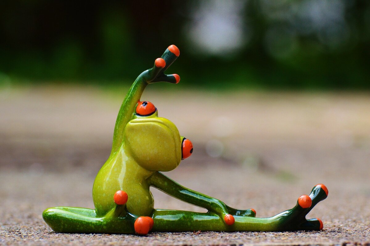Движение- это жизнь! Источник фото: pixabay.com