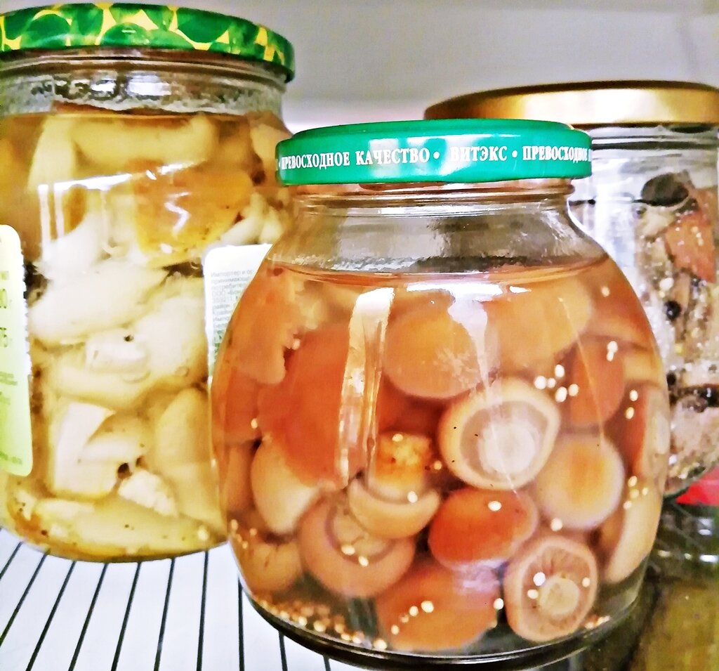 рецепт маринования грибов шампиньонов в домашних условиях быстро | Дзен