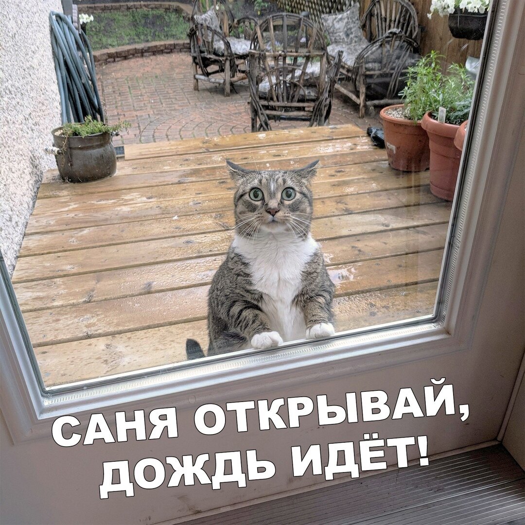 иллюстрация из Яндекс картинки