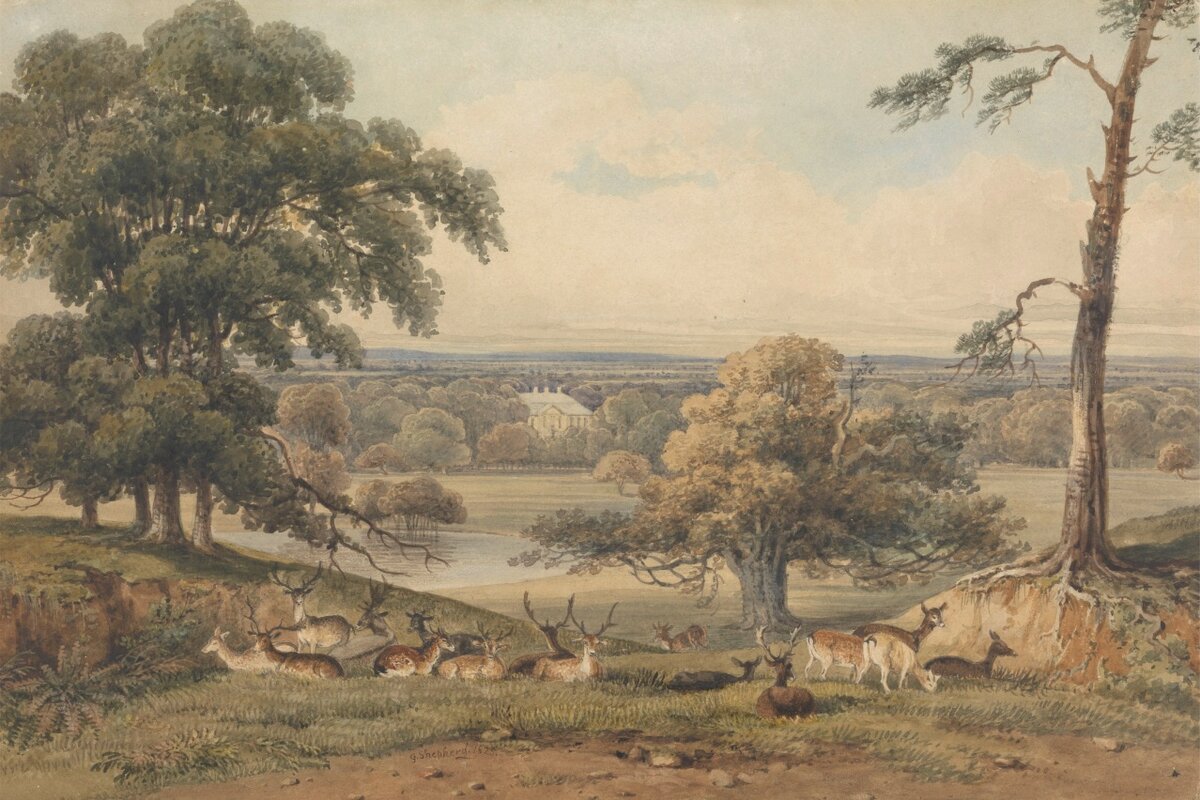 Амптхилл-парк на картине британского художника Джорджа Шеперда (1784-1862)