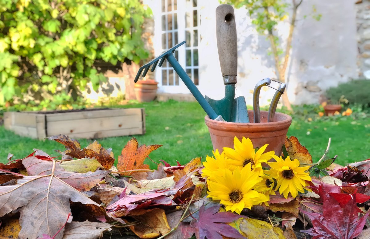 Октябрь – середина, "маковка"  осени. 