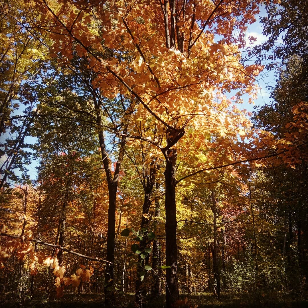В лесу. Фото из личного архива
