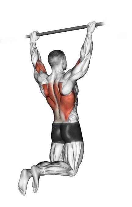Упражнения на спину: как накачать мышцы спины в домашних условиях и в тренажерном зале
