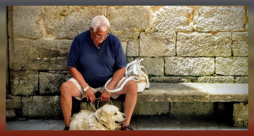 Домашний друг - верный друг для всего хорошего и плохого, особенно собаки