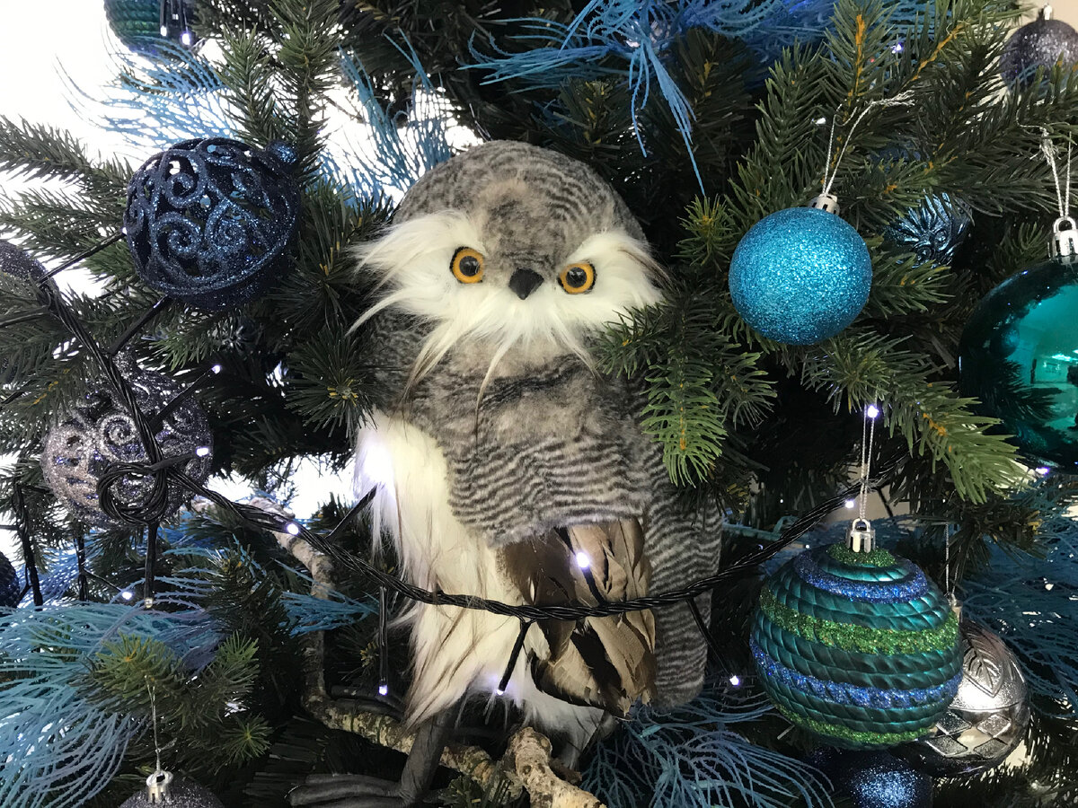 Фото автора.