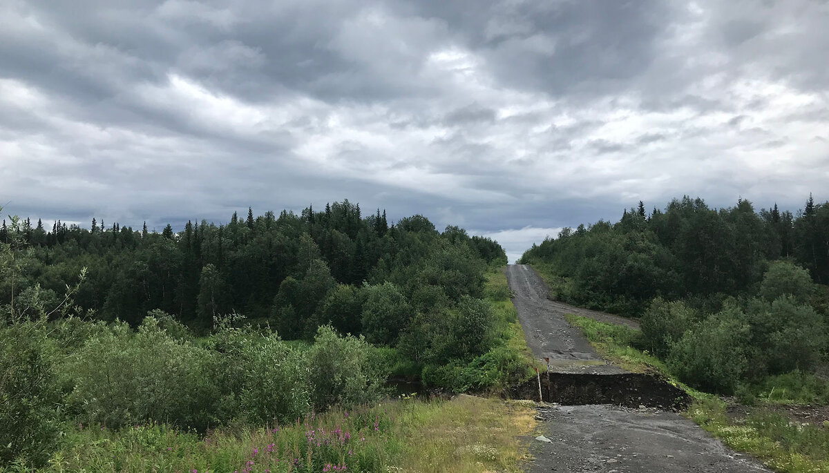 Размытый мост через Миссурицу на дороге, построенной золотодобытчиками
