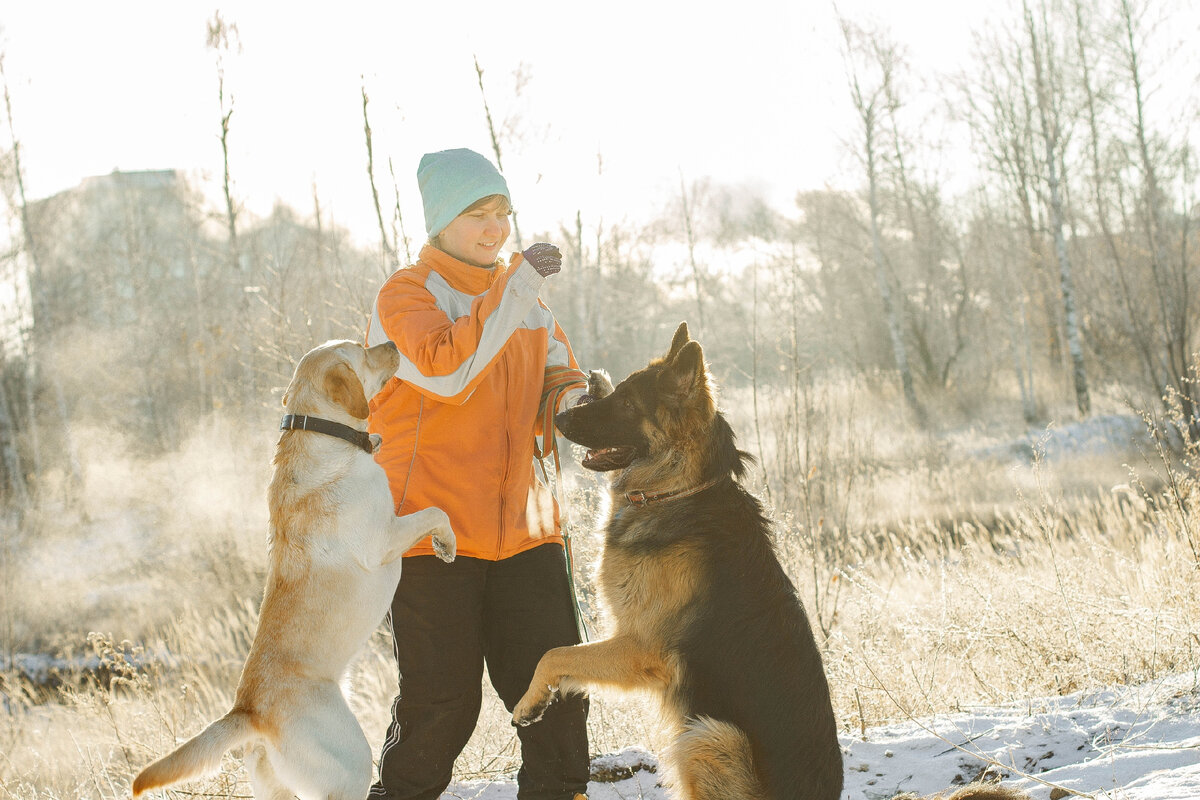 Попрошайки)