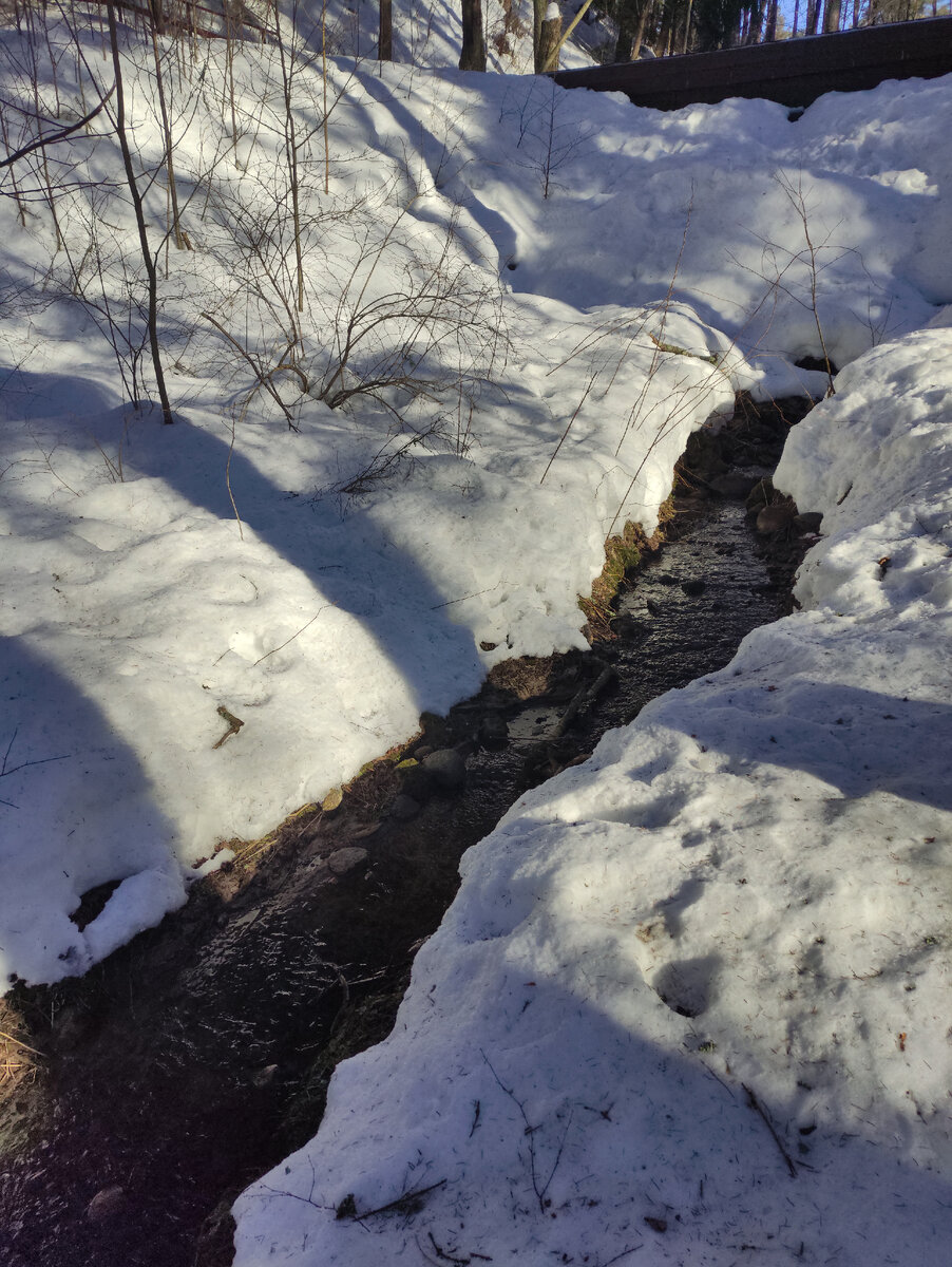 Ручей. Комаровская эко-тропа. Карельский перешеек.