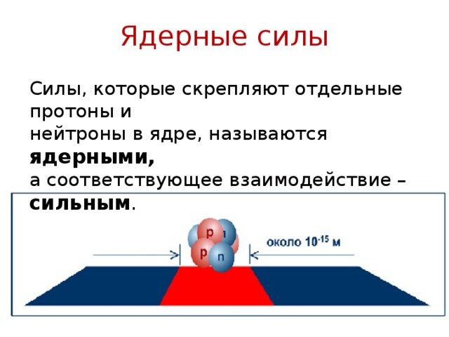 Скалярные и векторные величины