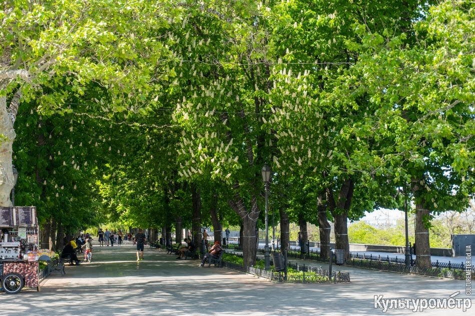 Ту самую открытку не нашла, но нашлась похожая на https://culturemeter.od.ua/ 